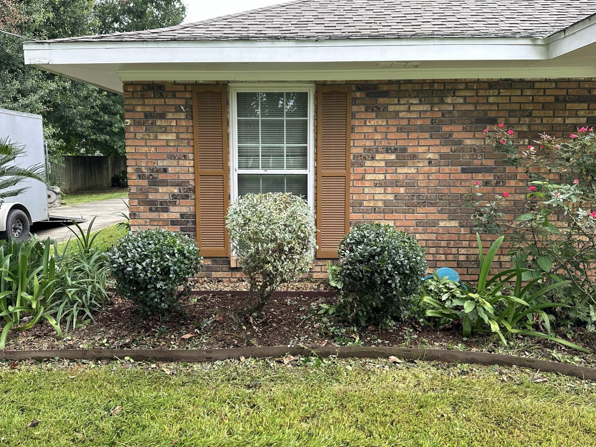 Clean yard after Bailey's professional cleanup
